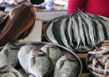 სურსათის უვნებლობის სპეციალისტი მოსახლეობას საშიში პარაზიტის შესახებ აფრთხილებს