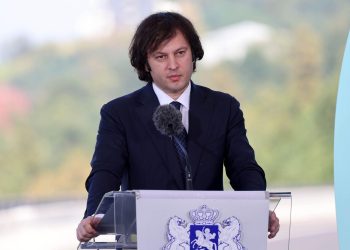 “ცენტრალური შემსყიდველი ორგანო” იქმნება