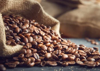 ყავის ნაცვლად ბარდას ყიდიდნენ – ცნობილ საწარმოს მუშაობა შეუჩერეს