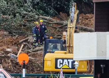 ახალი ზელანდიის ჩრდილოეთ ნაწილში მეწყერი ჩამოწვა, სამაშველო ჯგუფები დაკარგულ ადამიანებს ეძებენ