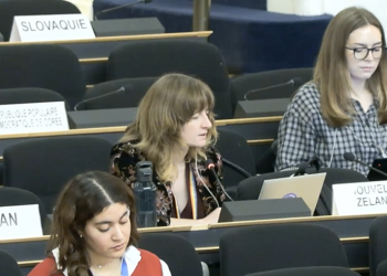 “გააუქმეთ უცხოური ზეგავლენის გამჭვირვალობის შესახებ კანონმდებლობა” – ახალი ზელანდიის წარმომადგენელი გაეროში