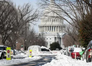 აშშ-ში შტორმის შედეგად დაღუპულთა რიცხვი 38-ს აღწევს
