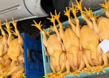 სურსათის ეროვნული სააგენტო განცხადებას ავრცელებს