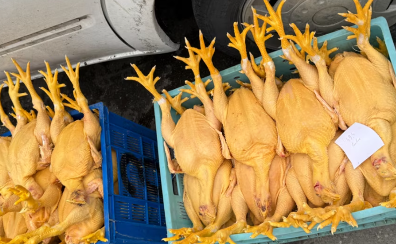 სურსათის ეროვნული სააგენტო განცხადებას ავრცელებს