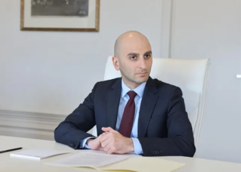 ჯანდაცვის მინისტრის ყოფილი მოადგილე ილია ღუდუშაური დააკავეს