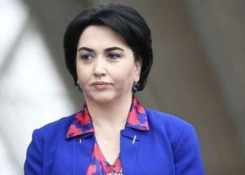 “რატიმ მითხრა, რომ ერთმა პოლიციელმა ფიზიკური შეურაცხყოფა მიაყენა” -ეკა ბესელია შვილის დაკავებაზე