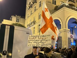 მზია ამაღლობელის გათავისუფლების მოთხოვნით მარში იმართება - "მეტრონომის" ფოტოკოლაჟი