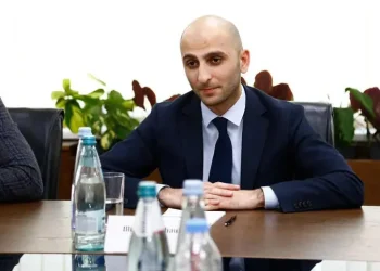 პროკურატურა ღუდუშაურისთვის აღკვეთის ღონისძიებად საპატიმრო გირაოს ითხოვს