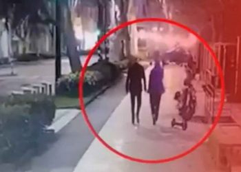 “მტკიცებულებები მკვლელობის ორგანიზებაზე ინფორმაციას არ იძლევა” – მიქაძეების ადვოკატი