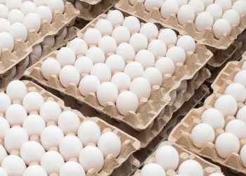 საახალწლო დღეებში მოქალაქეებს სასურსათო მაღაზიებში 50-დან 75 თეთრამდე გაძვირებული კვერცხი დახვდათ – BPN