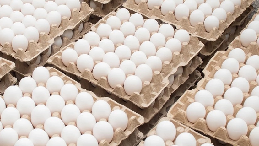 საახალწლო დღეებში მოქალაქეებს სასურსათო მაღაზიებში 50-დან 75 თეთრამდე გაძვირებული კვერცხი დახვდათ – BPN