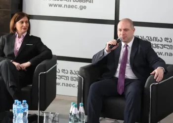 შეფასებისა და გამოცდების ეროვნული ცენტრის ხელმძღვანელად თამარ მემანიშვილი დაინიშნა