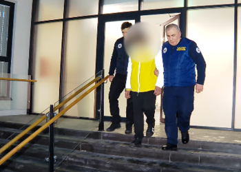 უცხო ქვეყნის 87 მოქალაქე საქართველოდან გააძევეს