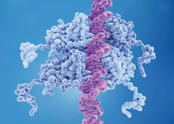 აღმოჩენილია ნაწლავებსა და ფილტვებს შორის კავშირი