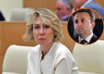 “მეტი სიბინძურის ამოყრა არავისთვის არ იქნებოდა სასურველი” – როგორ ეხმაურება ნინო წილოსანი ღარიბაშვილის დააკავებას