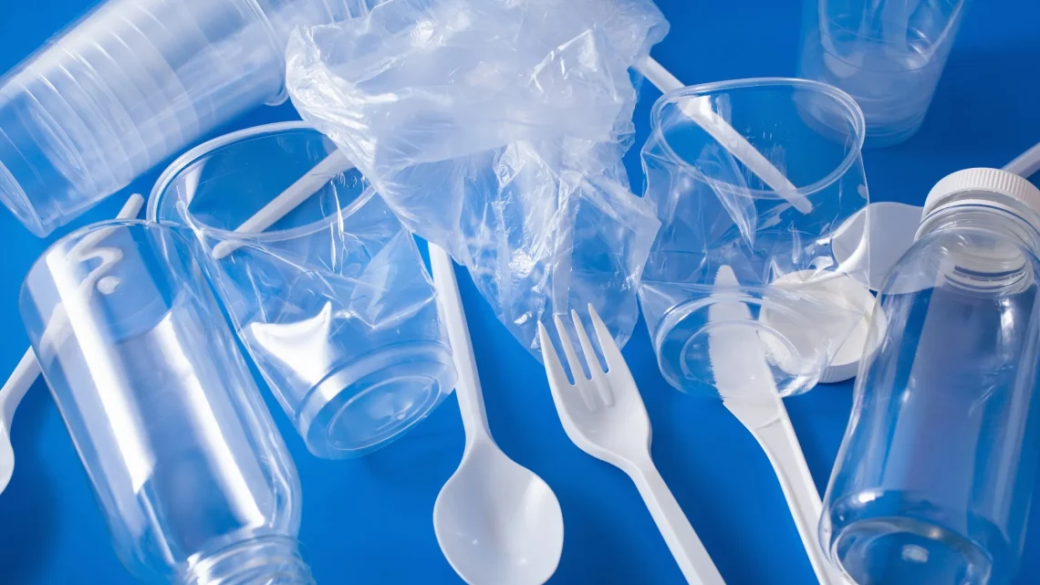 სურსათისთვის განკუთვნილი პლასტმასისგან დამზადებული პროდუქციის წარმოების, იმპორტისა და ბაზარზე განთავსების აკრძალვის თაობაზე მთავრობის მიერ დამტკიცებული მოთხოვნების დარღვევაზე სანქცია წესდება
