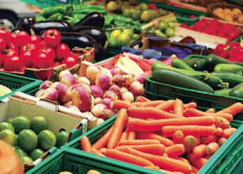 საარსებო მინიმუმი ერთ თვეში 255.4 ლარიდან 250.9 ლარამდე შემცირდა – საქსტატი