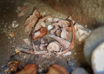 რუსთავის მერიის ინფორმაციით, რუსთავში, სანაპიროს ქუჩაზე გზის სარეაბილიტაციო სამუშაოებისას, წინასწარი მონაცემებით, IV-V საუკუნეების სამარხები აღმოაჩინეს