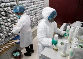 ცნობილია, რა სიმპტომები ჰქონდა ქალს, რომელიც ნიპას ვირუსით გარდაიცვალა