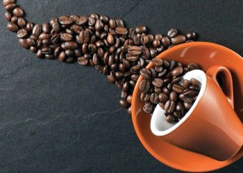 პორტუგალიის ნევროლოგიისა და უჯრედული ბიოლოგიის ცენტრის მეცნიერებმა ყავას ახალგაზრდობის წყარო უწოდეს