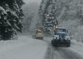 საავტომობილო გზების დეპარტამენტი განცხადებას ავრცელებს
