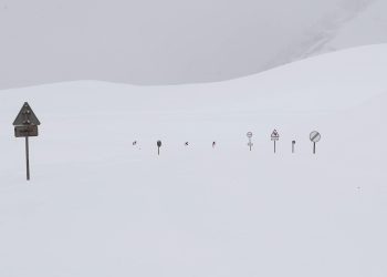 გაფრთხილება მძღოლებს!- სად არის გადაადგილება აკრძალული?