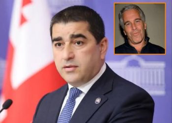 “ყველამ თავის ეპშტეინის კუნძულს მიხედოს” – თქვა შალვა პაპუაშვილმა ბრიფინგზე
