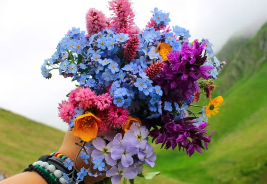 გაზაფხულის ყვავილები და მათი სასარგებლო თვისებები