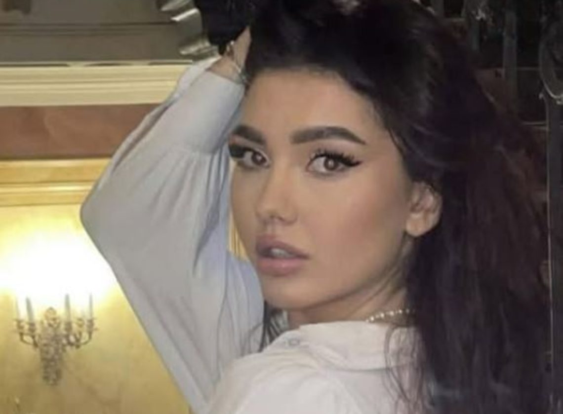 თბილისში ისლანდიის 24 წლის მოქალაქეს ეძებენ