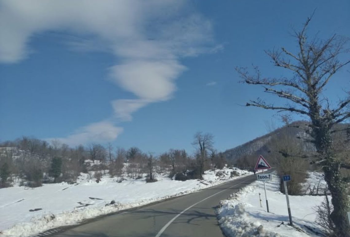 საავტომობილო გზების დეპარტამენტი განცხადებას ავრცელებს