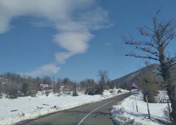 საავტომობილო გზების დეპარტამენტი განცხადებას ავრცელებს