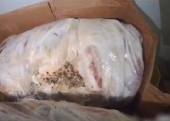 „ექსპერტიზის ჩატარება ვერ მოხერხდა, რადგან პროდუქცია მაღალი ტოქსიკურობის გამო, საფრთხეს უქმნიდა თავად ექსპერტის სიცოცხლეს“ – ფალსიფიცირებული თევზის კონსერვის რეალიზაციის საქმე