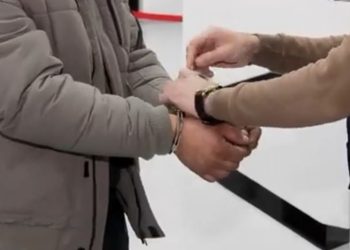 დიდი ოდენობით ნარკოტიკული საშუალების საქართველოში უკანონოდ შემოტანის ფაქტზე – დაკავებულია ერთი პირი