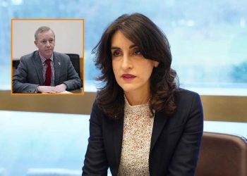 “ბუნებრივია, ეს გადაწყვეტილება ეფუძნებოდა თბილისიდან გაგზავნილ ინფორმაციას… 40 წუთის განმავლობაში მე არ მომისმენია არცერთი არგუმენტი, რომელიც გაამართლებდა სანქცირების გადაწყვეტილებას” – მაკა ბოჭორიშვილი