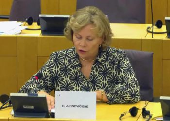 ევროპარლამენტის საგარეო საქმეთა კომიტეტის სხდომაზე საქართველოს შესახებ ანგარიშის განხილვა მიმდინარეობს