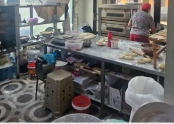 სურსათის ეროვნულმა სააგენტომ სამეგრელოში არალეგალურ კვების ობიექტს საქმიანობა შეუჩერა