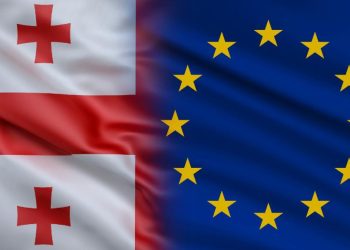 “ევროკავშირის წევრმა ქვეყნებმა მხარი დაუჭირეს საქართველოს დიპლომატიური პასპორტების მფლობელებისთვის უვიზო რეჟიმის გაუქმებას” – რიკარდ იოზვიაკი