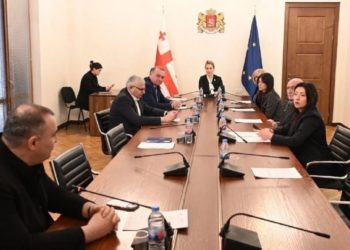 განათლების, მეცნიერებისა და ახალგაზრდულ საქმეთა კომიტეტმა „შეზღუდული შესაძლებლობის მქონე პირთა უფლებების შესახებ“ კანონში ცვლილება განიხილა