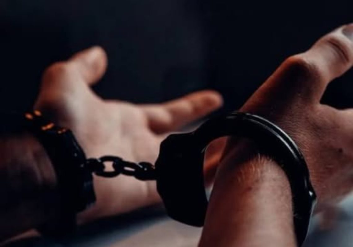 “2026 წლის იანვარში სისხლისსამართლებრივი დევნა 2 029 პირის მიმართ დაიწყო, აქედან გამოსაცდელი ვადის გასვლამდე დანაშაული ჩადენილია 104 პირის მიერ” – საქსტატი