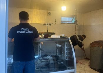 სურსათის ეროვნულმა სააგენტომ აჭარასა და ქვემო ქართლში ცხოველთა არალეგალური სასაკლაოები გამოავლინა