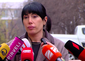 ანი ნადარეიშვილს მოწმის სტატუსი აქვს და ის ვერ იქნება ადვოკატი – ახალაიას საქმის პროკურორი