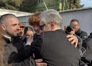 ნიკა გვარამია თავისუფალია