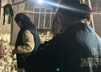 “აჭარასა და იმერეთში ფრინველის 2 არალეგალური სასაკლაო გამოვავლინეთ” – სურსათის ეროვნული სააგენტო