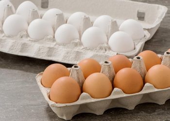 კვერცხის ფასი მცირდება – მწარმოებელთა განცხადება კობახიძის ინიციატივის შემდეგ