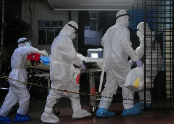 ინდოეთში “ნიპას” ვირუსის შედეგად გარდაცვალების პირველი შემთხვევა დაფიქსირდა