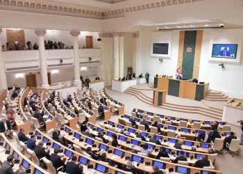 უმაღლესი საგანმანათლებლო დაწესებულების აკადემიური პერსონალის ჩამონათვალს წამყვანი პროფესორის თანამდებობა ემატება