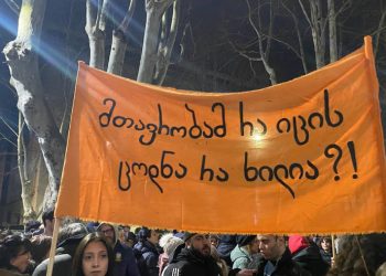 15 თებერვალი 15:00 საათი – დედა ენის ბაღში განათლების რეფორმის საწინააღმდეგო აქცია გაიმართება