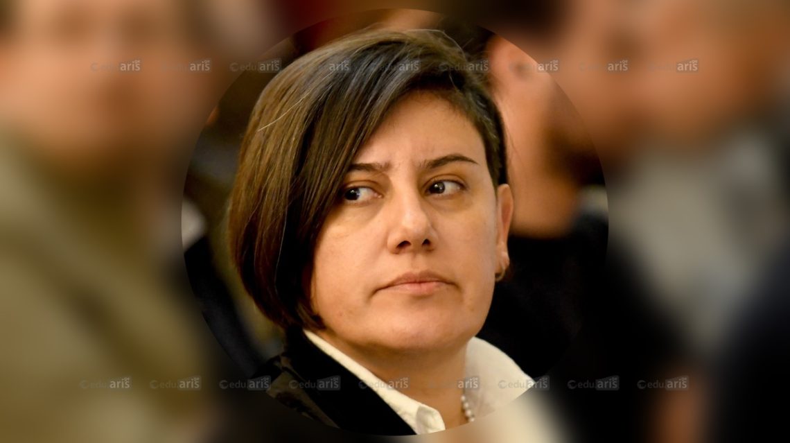 2025 წელს ილიას უნივერსიტეტმა მიიღო 5 ათასამდე სტუდენტი, ახლა კი 120 პროგრამიდან 28 პროგრამაზე დაგვიმტკიცდა 360 ადგილი, რაც გამოსაცხადებელი ადგილების 7%-ია – ეს ჩვენთვის სრულიად წარმოუდგენელი ციფრია – ილიაუნის კანცლერი