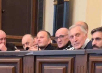 სასახლის ღობის საქმეზე სასამართლოში დღევანდელ პროცესზე ექსპერტს მოუსმენენ