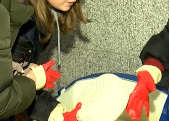 ქუთაისში “ყველის“ კუსტარული საწარმო გამოავლინეს